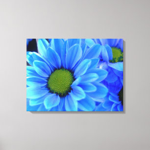Blue Daisy Wrapped Canvas Leinwanddruck