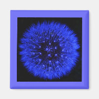 Blue Dandelion Puff Design Magnet