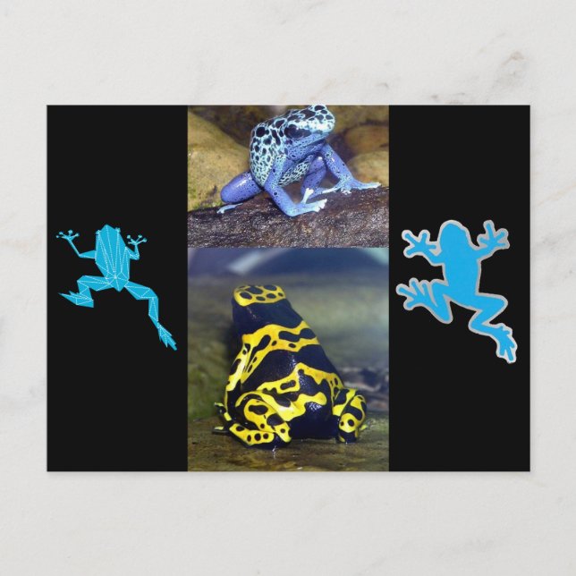BLUE DART FROG POSTKARTE (Vorderseite)