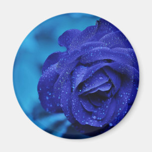 Blue Dewdrop-Rose Magnet