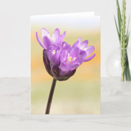 Blue Dick Wildblume Karte