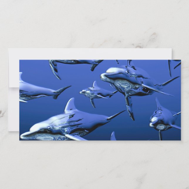 Blue Dolphin (Vorderseite)