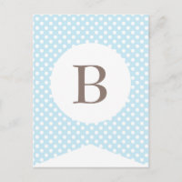 Blue Dot Baby Boy Party Flag Bunt Banner