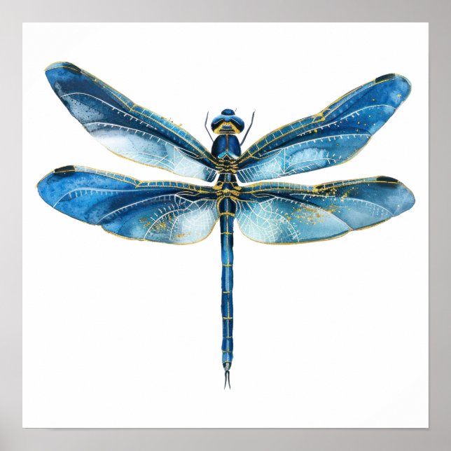   Blue dragonfly  16 x 16 Poster (Vorne)