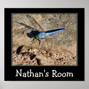 Blue Dragonfly Kids Room Personalisiert Poster