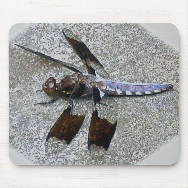 Blue Dragonfly Mousepad (Vorne)