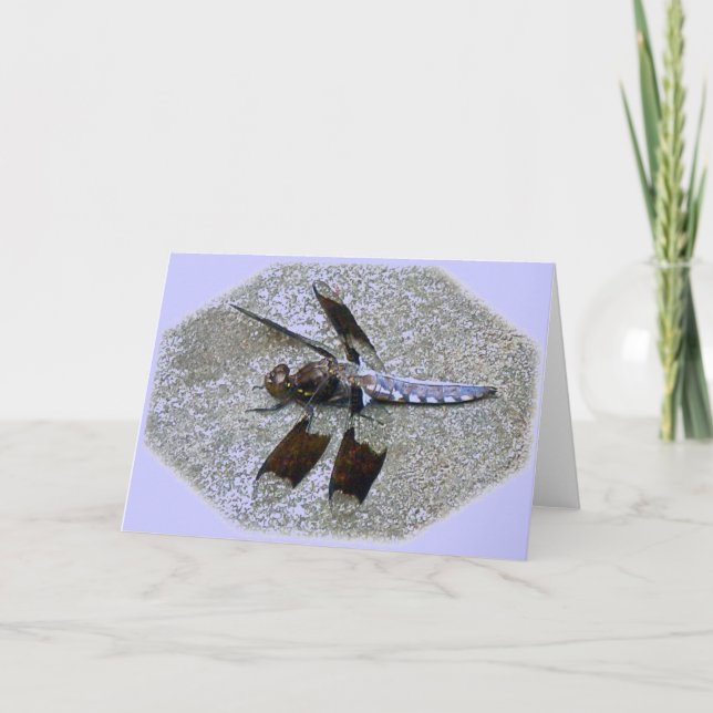 Blue Dragonfly Note Card Karte (Vorderseite)