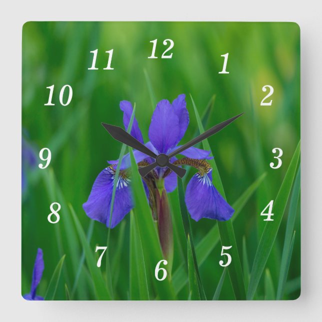 Blue Dutch Under Blätter Wall Clock Quadratische Wanduhr (Vorderseite)