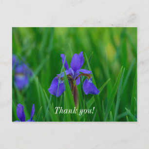 Blue Dutch unter den Blätter Vielen Dank Postcard Postkarte