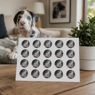 Blue Eye Great Dane Puppy Runder Aufkleber