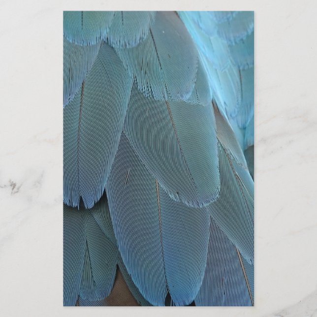 Blue Feather Briefpapier (Vorderseite)