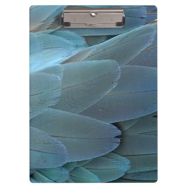 Blue Feather Klemmbrett (Vorderseite)