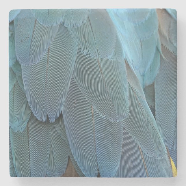 Blue Feather Steinuntersetzer (Vorderseite)