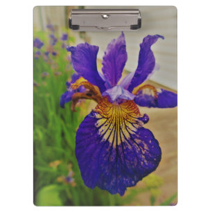 Blue Flag Iris Fleur de Lys French Canada Quebec Klemmbrett