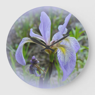 Blue Flag - Wild Iris Große Wanduhr