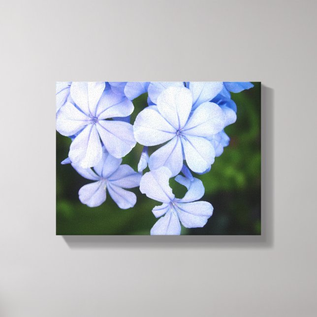 Blue Floral Bokeh Leinwanddruck (Vorderseite)