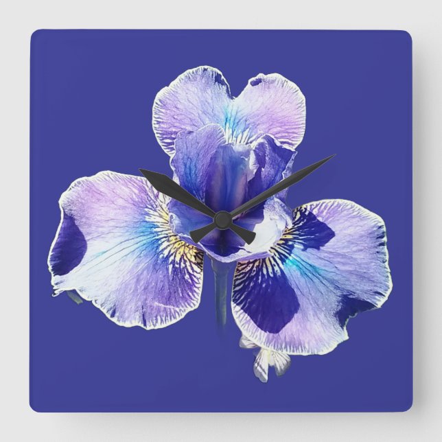Blue Flower Wall Clock Quadratische Wanduhr (Vorderseite)