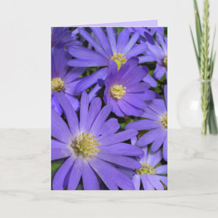 Blue Flowers Card Daisy Grußkarte Leere Karte