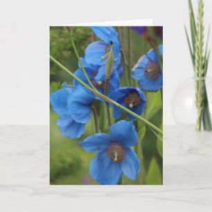 Blue Flowers Card Karte