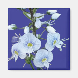 Blue flowers  magnet
