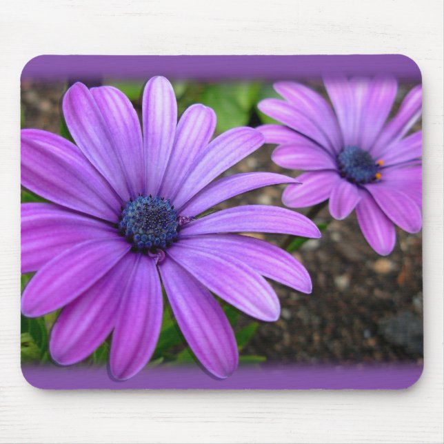 Blue Flowers Mousepad Daisy Computergeschenke (Vorne)