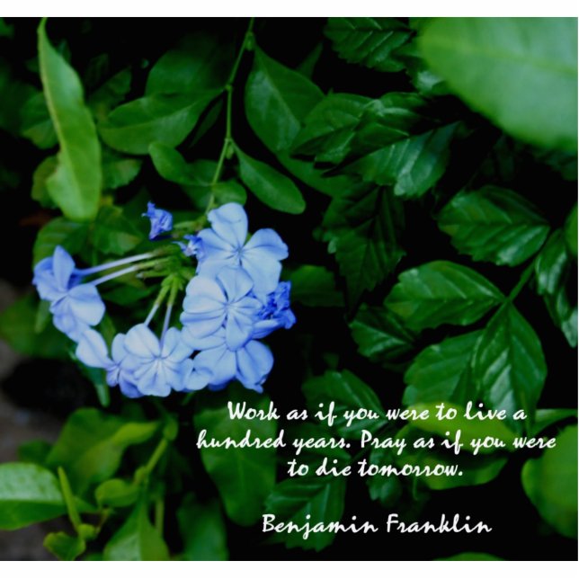 BLUE FLOWERWORD FOTO SCULPTURE MAGNET 2x3 Fotoskulptur Magnet (Vorne)