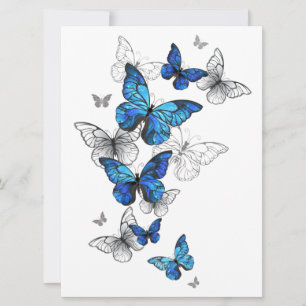 Blue Flying Butterflies Morpho