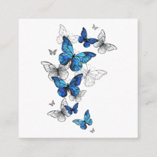 Blue Flying Butterflies Morpho Begleitkarte