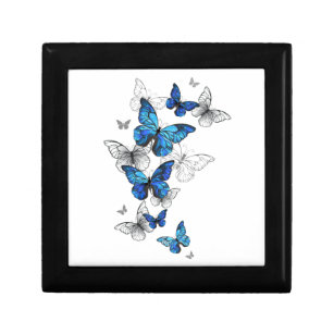 Blue Flying Butterflies Morpho Erinnerungskiste