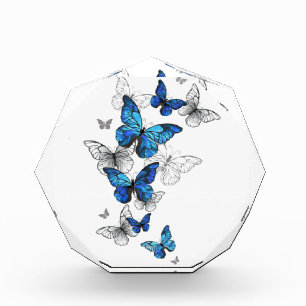 Blue Flying Butterflies Morpho Fotoblock