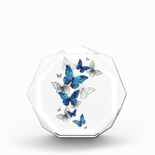 Blue Flying Butterflies Morpho Fotoblock