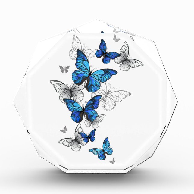 Blue Flying Butterflies Morpho Fotoblock (Vorderseite)