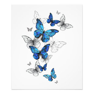 Blue Flying Butterflies Morpho Fotodruck
