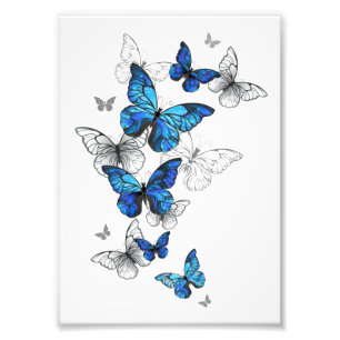 Blue Flying Butterflies Morpho Fotodruck