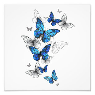Blue Flying Butterflies Morpho Fotodruck
