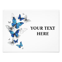 Blue Flying Butterflies Morpho