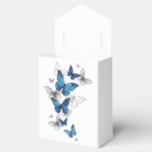 Blue Flying Butterflies Morpho Geschenkschachtel