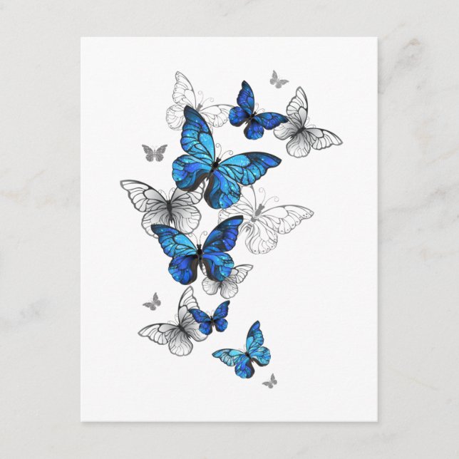 Blue Flying Butterflies Morpho Hinweiskarte (Vorderseite)
