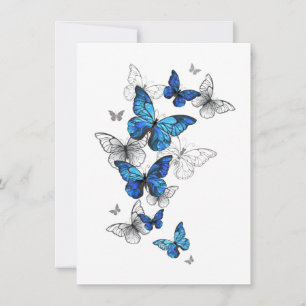 Blue Flying Butterflies Morpho Karte