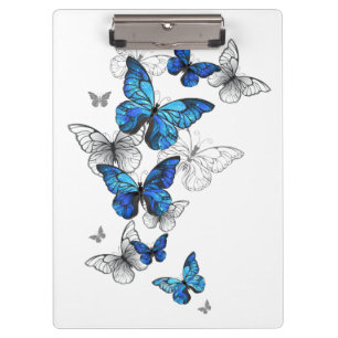 Blue Flying Butterflies Morpho Klemmbrett