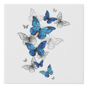 Blue Flying Butterflies Morpho Künstlicher Leinwanddruck