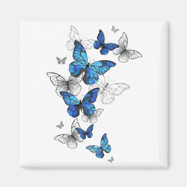 Blue Flying Butterflies Morpho Magnet (Vorne)