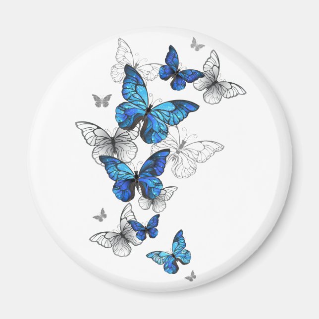 Blue Flying Butterflies Morpho Magnet (Vorne)