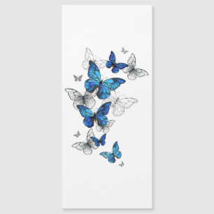 Blue Flying Butterflies Morpho Magnetkarte