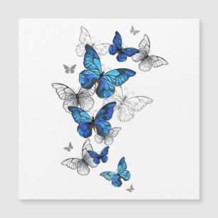 Blue Flying Butterflies Morpho Magnetkarte