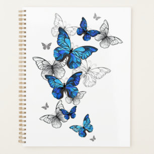 Blue Flying Butterflies Morpho Planer