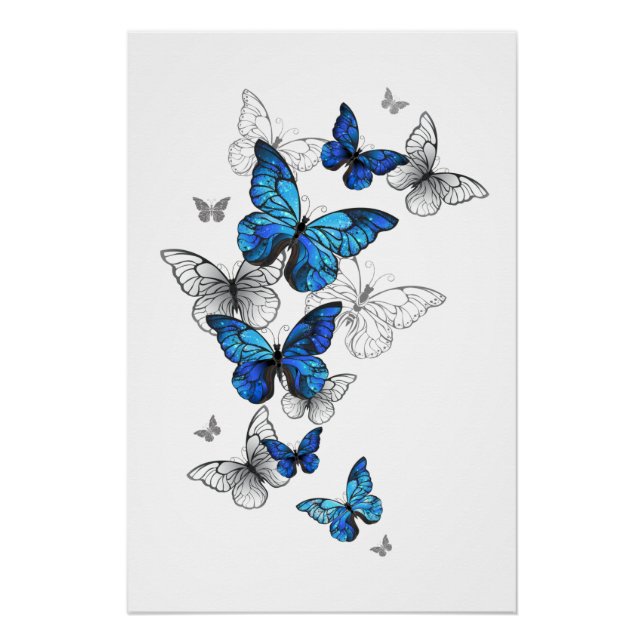 Blue Flying Butterflies Morpho Poster (Vorderseite)