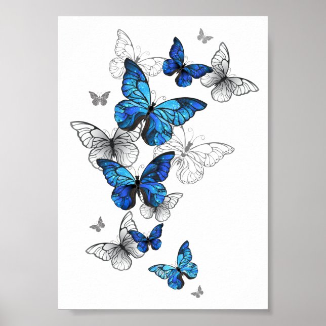 Blue Flying Butterflies Morpho Poster (Vorne)