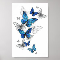 Blue Flying Butterflies Morpho