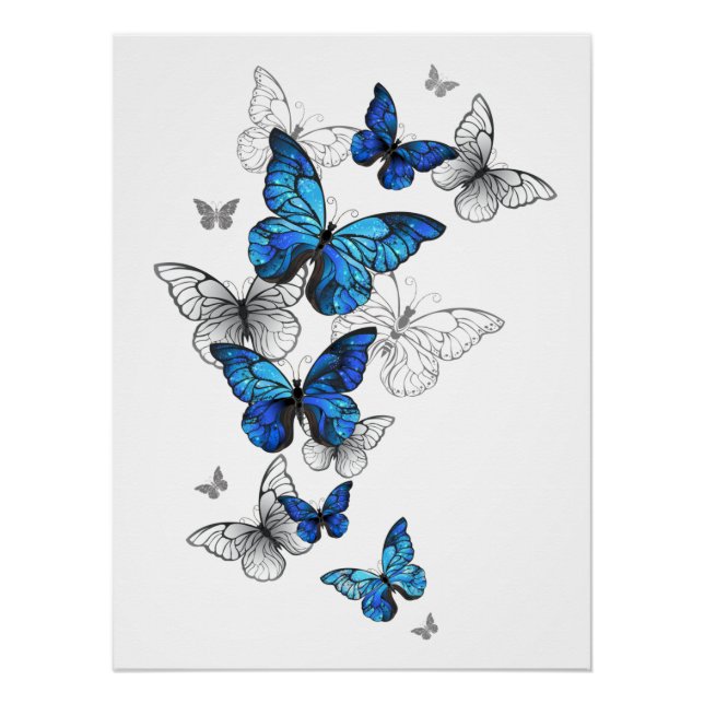 Blue Flying Butterflies Morpho Poster (Vorderseite)
